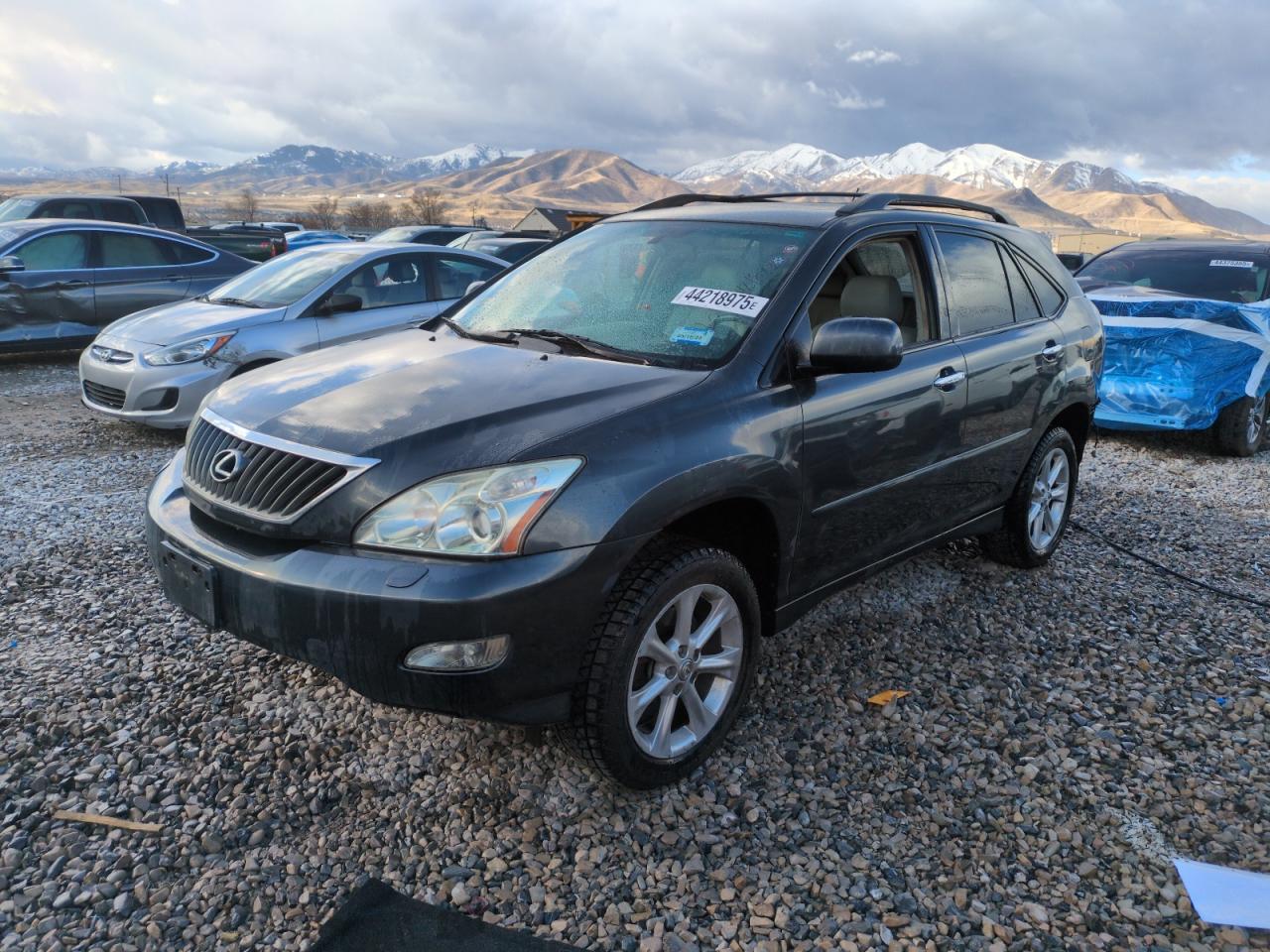 2008 Lexus RX - Image 1