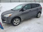 2013 Ford Escape Se zu verkaufen in Davison, MI - Front End