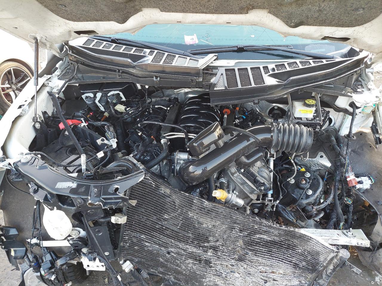1FTMF1E51MKF08613 - 2021 Ford F150 - #46206405