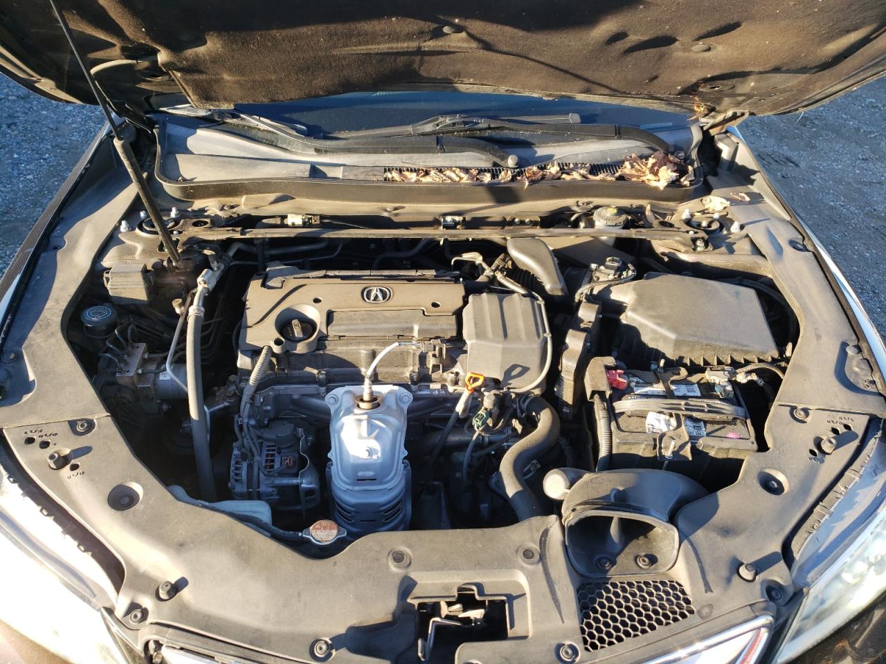 2015 Acura TLX - Image 11