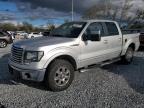 2010 Ford F150 Supercrew zu verkaufen in Riverview, FL - Rear End