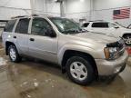 2002 Chevrolet Trailblazer  на продаже в Wayland, MI - Rear End