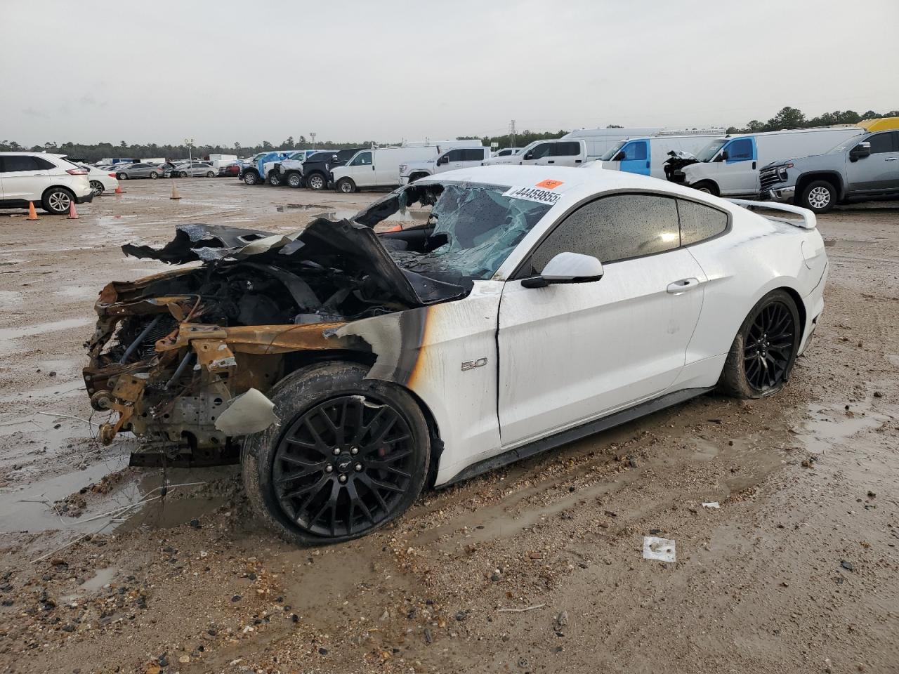 2021 Ford Mustang - Image 1