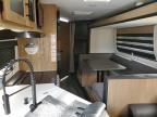 2023 Cher Grey Wolf for Sale in Temple, TX - Hail
