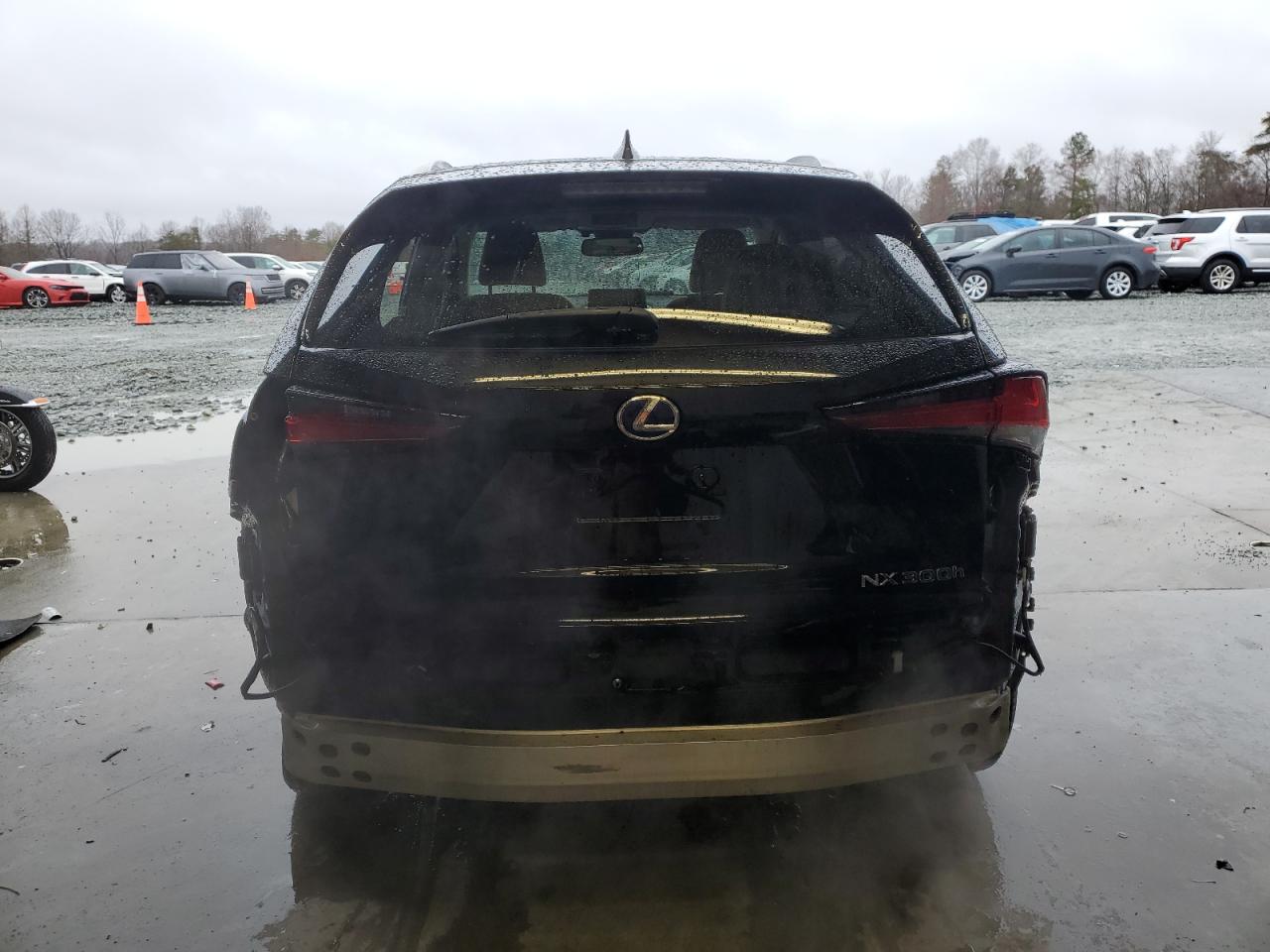 2020 Lexus NX - Image 6