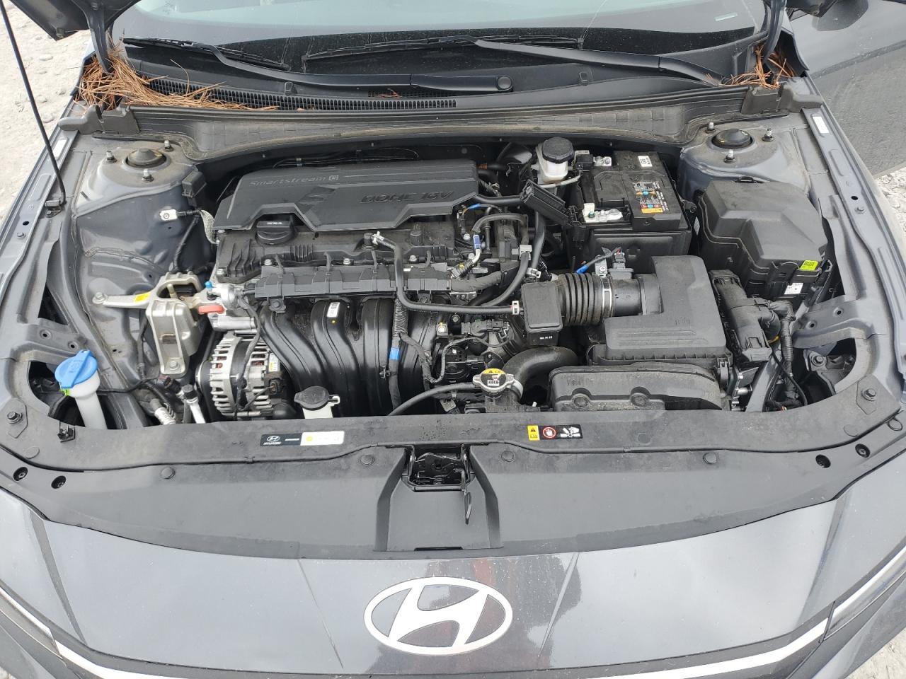 2024 Hyundai Elantra - Image 13