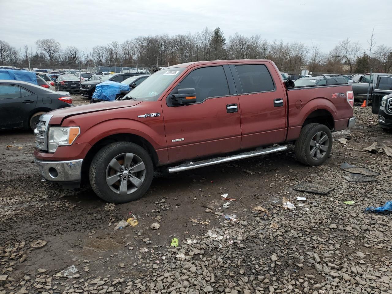 2014 Ford F-150 - Image 1