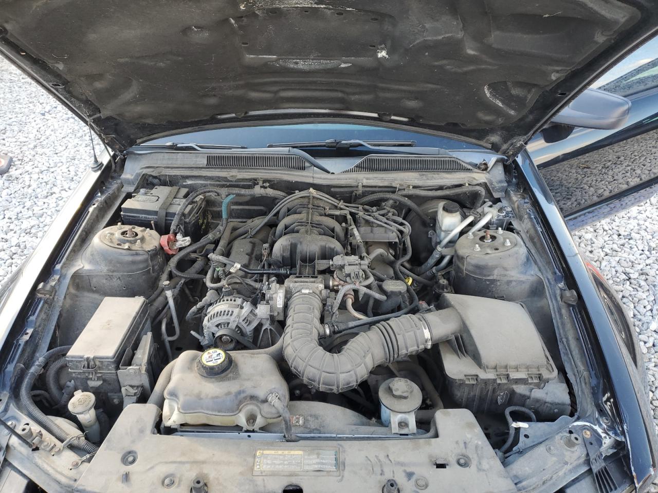 2009 Ford Mustang - Image 11