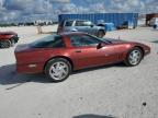 1988 Chevrolet Corvette  zu verkaufen in Arcadia, FL - Minor Dent/Scratches