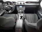 2019 Ford Mustang  for Sale in Anthony, TX - Rear End