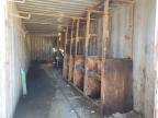 2023 Shipping Container na sprzedaż w Wilmer, TX - Vandalism