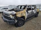2023 Chevrolet Silverado K1500 Zr2 for Sale in Anderson, CA - Burn