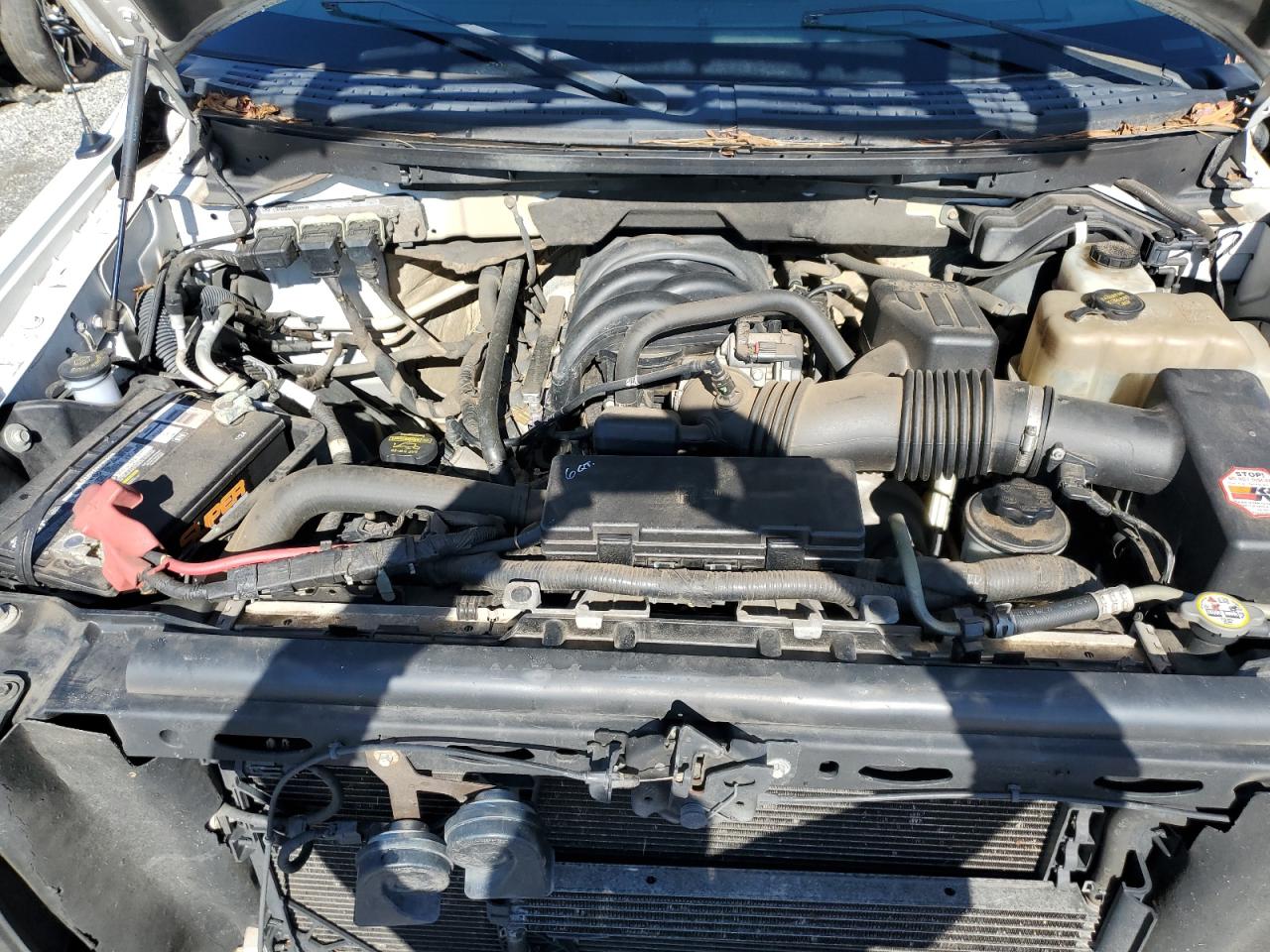 2010 Ford F-150 - Image 11