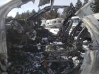 2019 Ford F350 Super Duty for Sale in Eldridge, IA - Burn