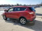 2013 Ford Escape Sel en Venta en Lawrenceburg, KY - Front End