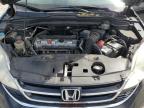 2010 Honda Cr-V Exl en Venta en Sun Valley, CA - Rear End