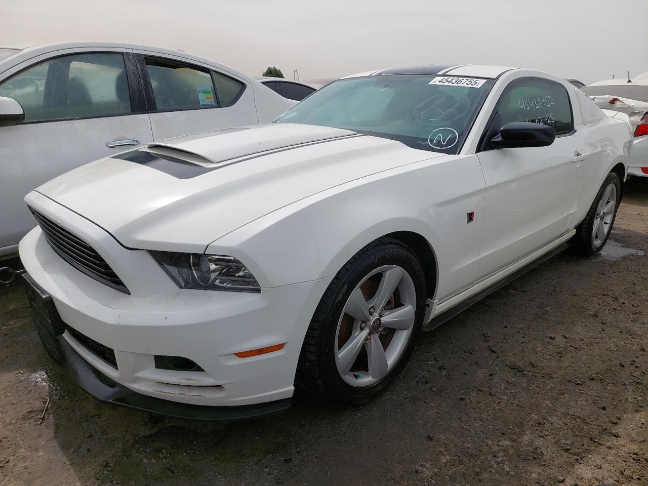1ZVBP8AM1D5237641 - 2013 FORD MUSTANG - #45436755