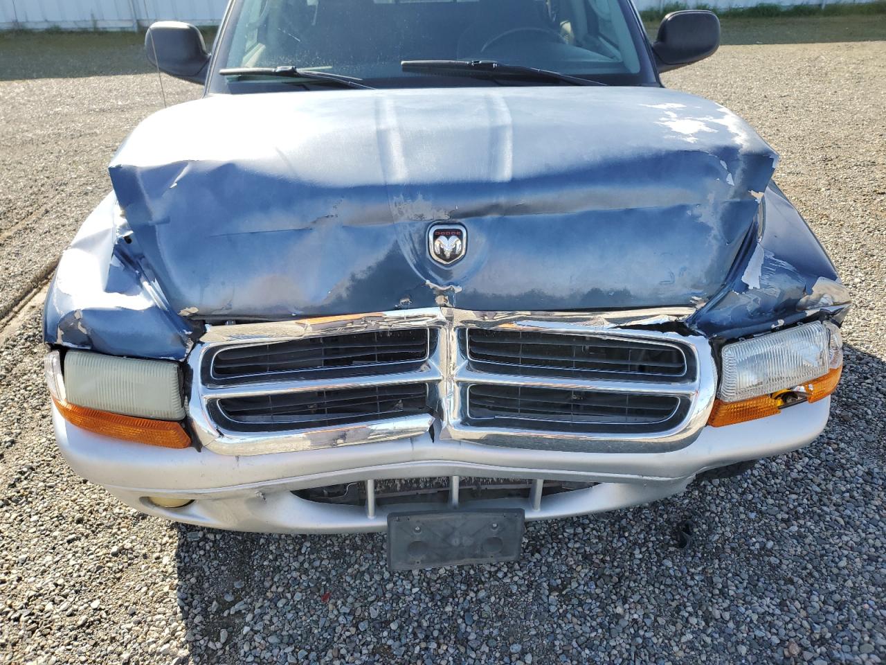 2002 Dodge Dakota - Image 12
