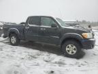 Windham, ME에서 판매 중인 2005 Toyota Tundra Double Cab Limited - Rear End