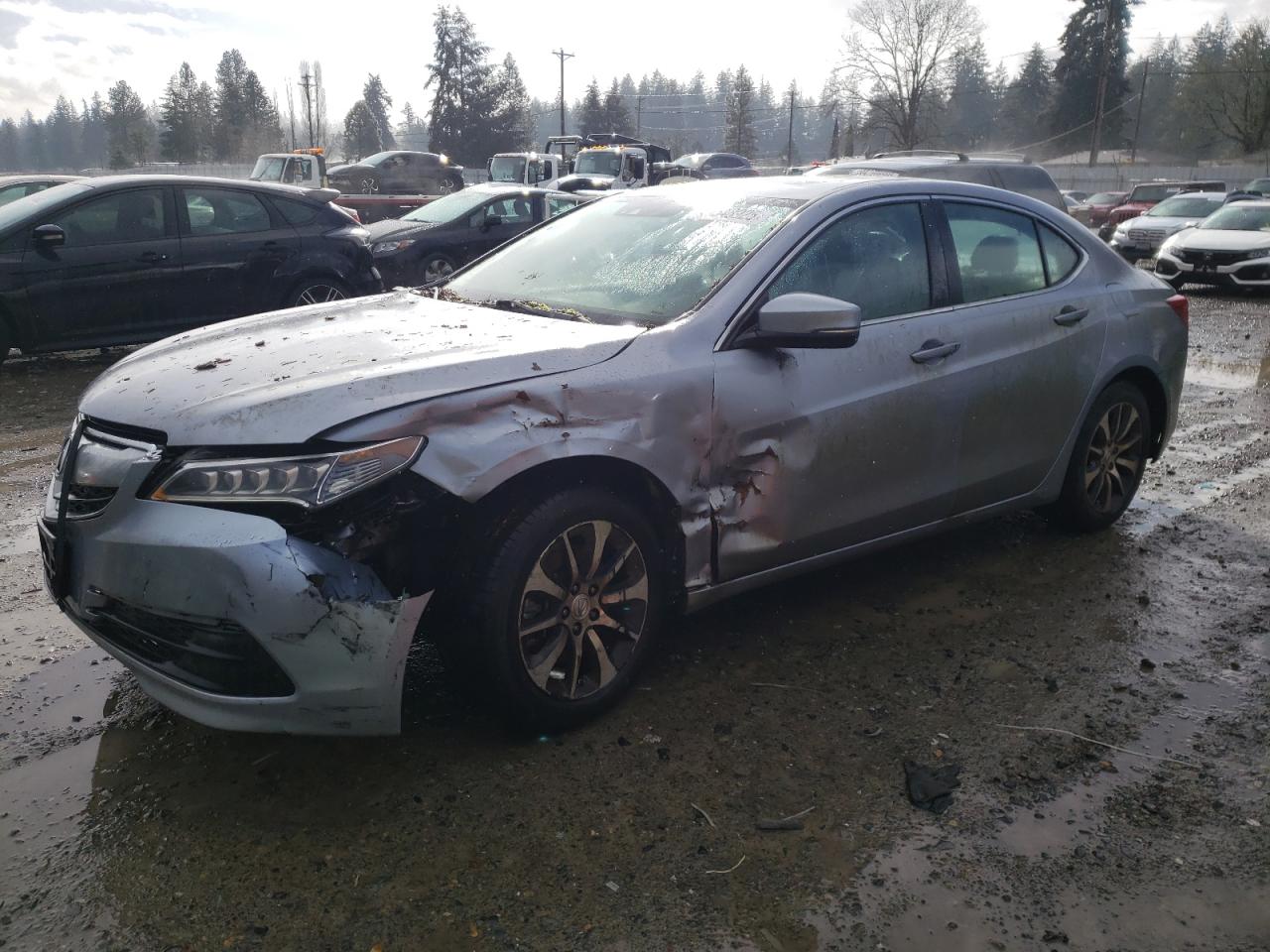 2015 Acura TLX - Image 1