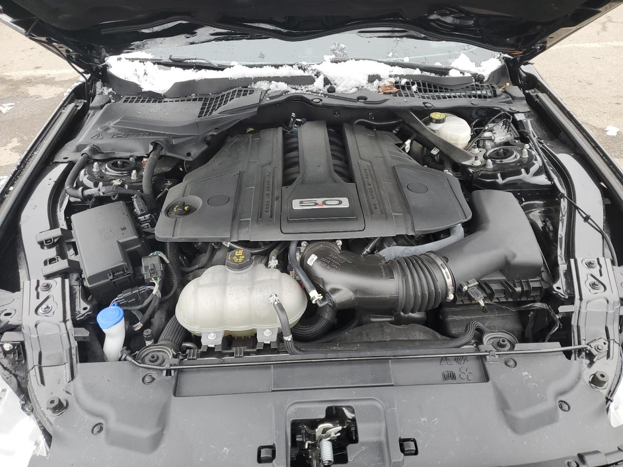 2021 Ford Mustang - Image 11