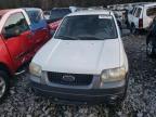 2005 Ford Escape Xlt for Sale in Florence, MS - Normal Wear