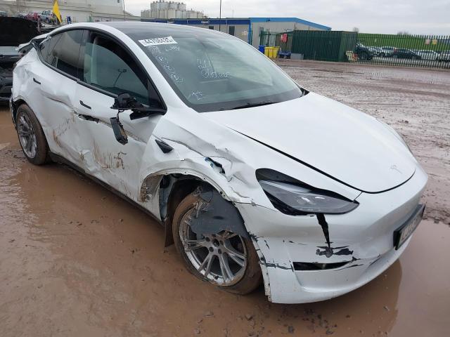 2023 TESLA MODEL Y RWD 