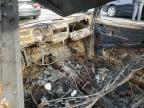 1967 Volkswagen Beetle   zu verkaufen in Van Nuys, CA - Burn