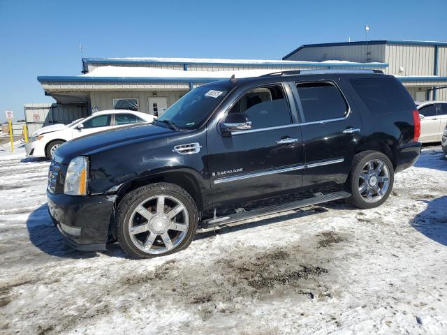 2008 Cadillac Escalade Luxury na sprzedaż w Earlington, KY - Hail