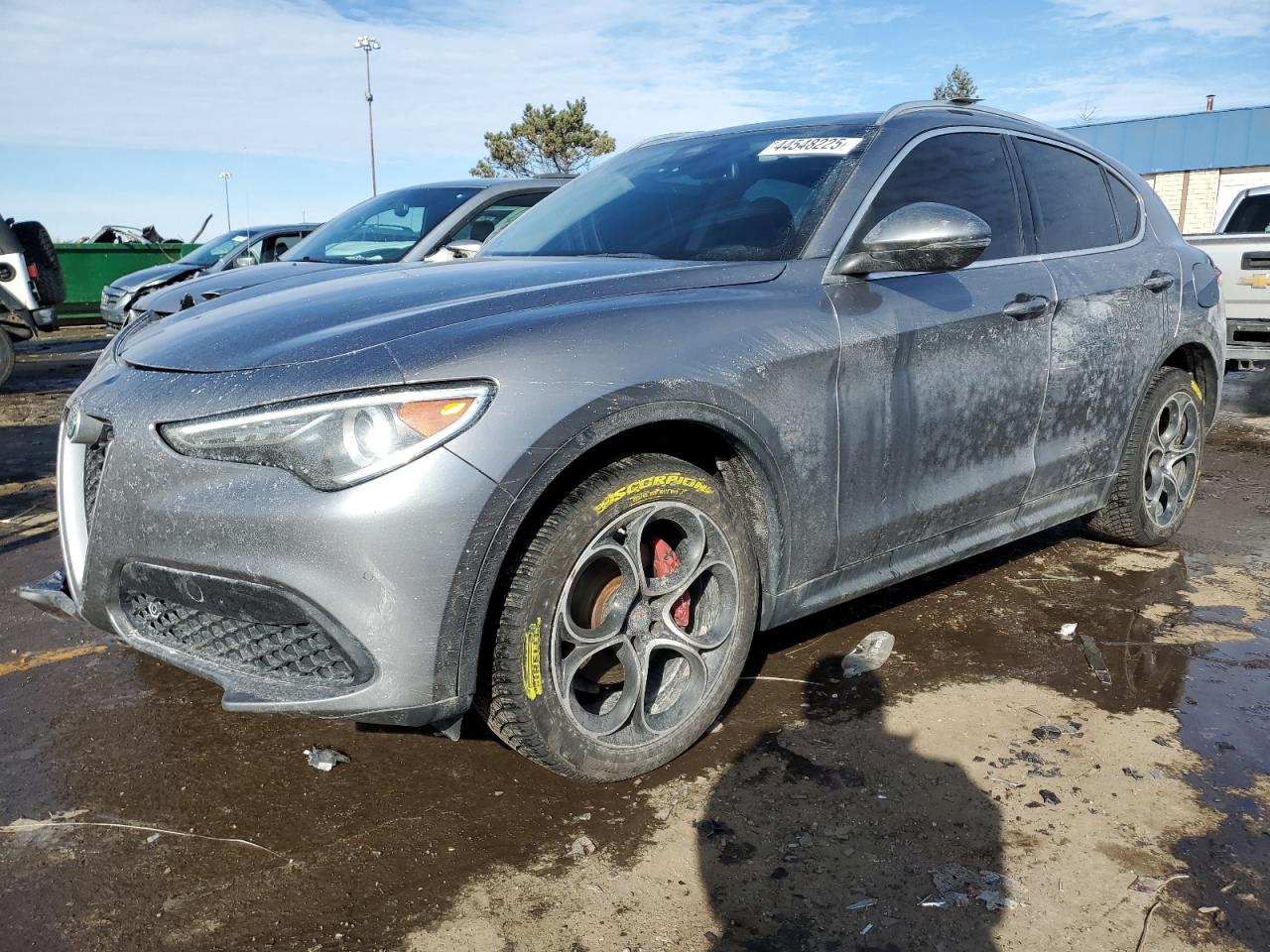 2019 Alfa Romeo Stelvio - Image 1