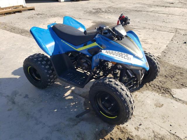 2023 Cf Moto Cforce 110