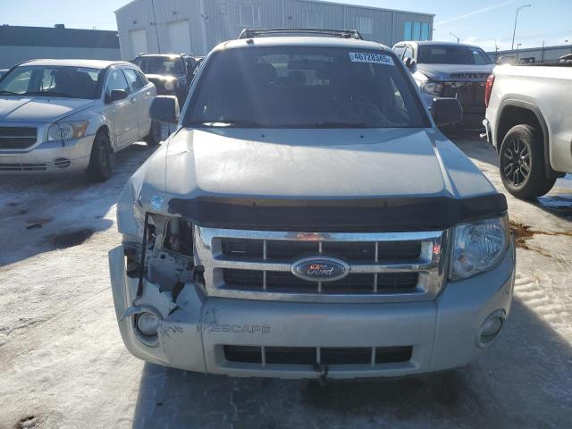 2008 FORD ESCAPE XLT