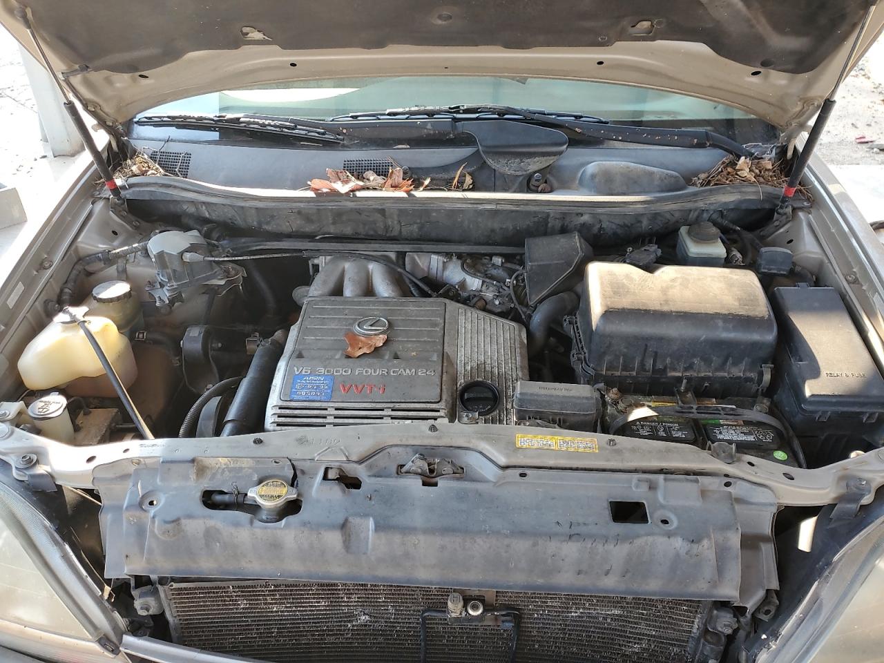 2000 Lexus RX - Image 11
