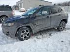 Wayland, MI에서 판매 중인 2022 Jeep Compass Trailhawk - Side