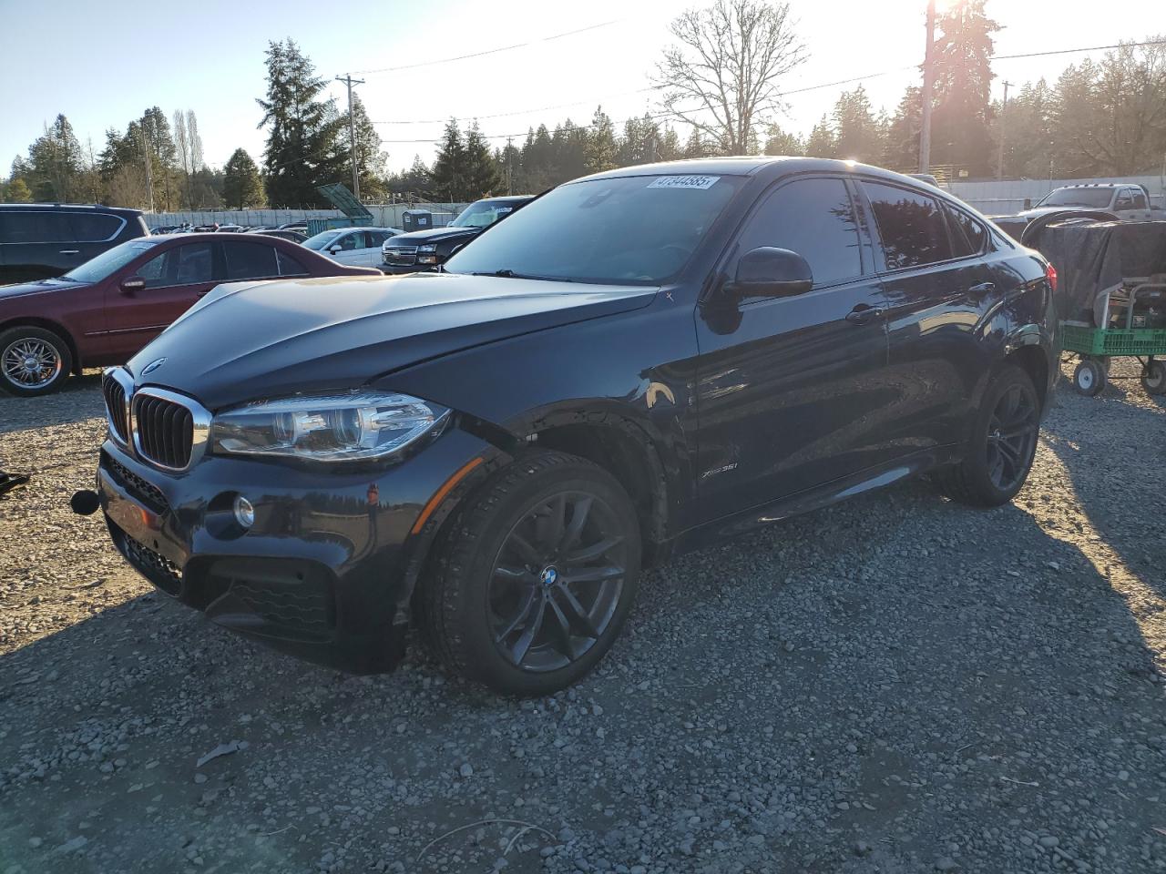 2019 BMW X6 - Image 1