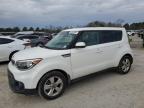 2019 Kia Soul  en Venta en Florence, MS - Side