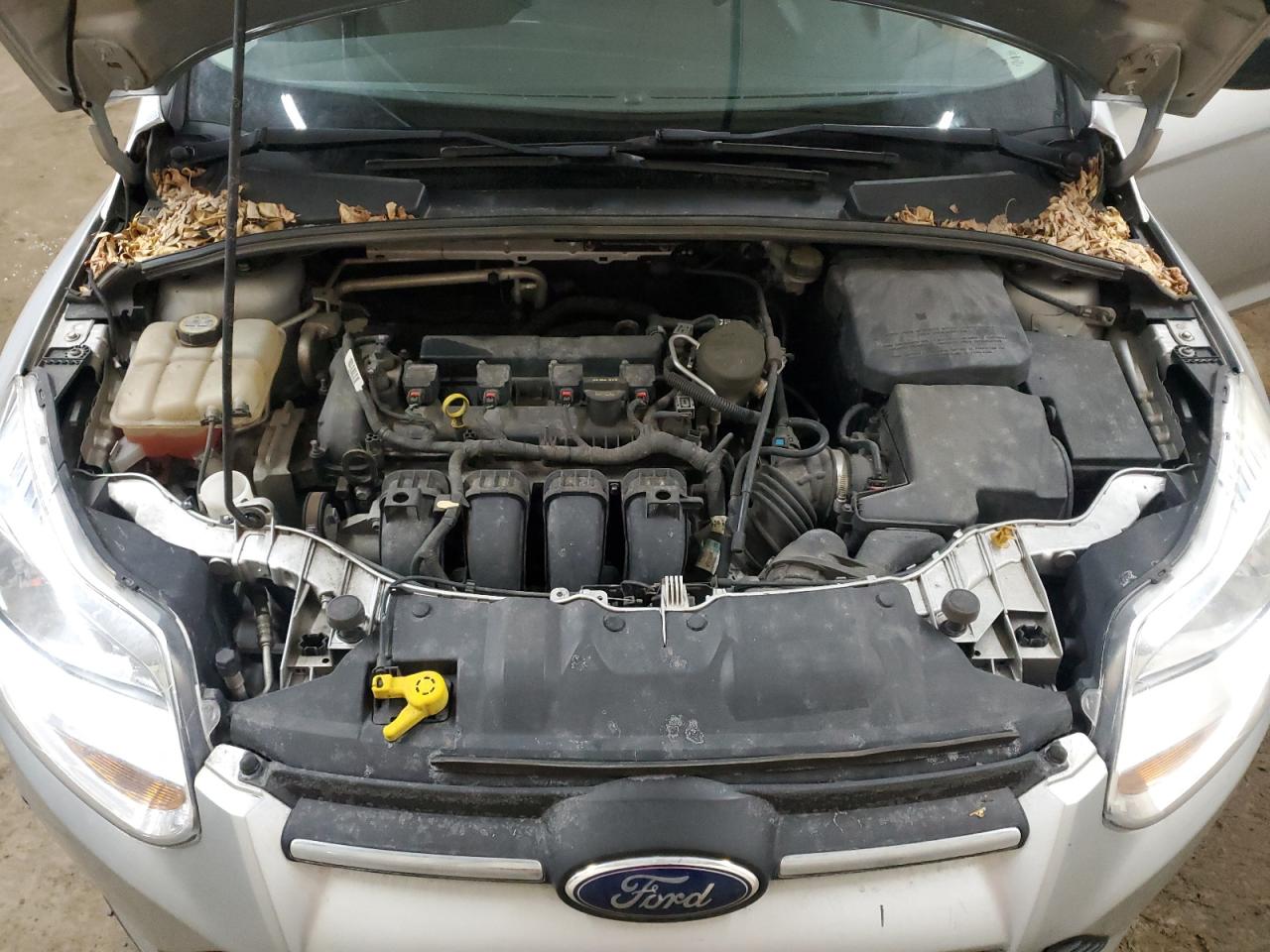 2013 Ford Focus - Image 11