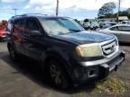 2009 Honda Pilot Ex продається в Kapolei, HI - Water/Flood