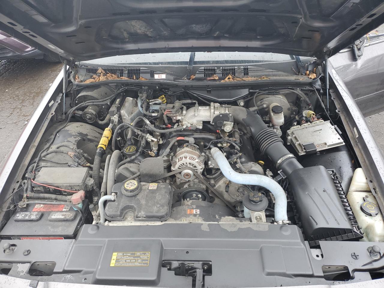 2008 Ford Crown Victoria - Image 11