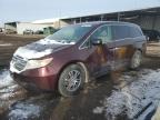 2011 Honda Odyssey Exl en Venta en Brighton, CO - Side