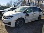 2025 Honda Odyssey Elite for Sale in Baltimore, MD - Side