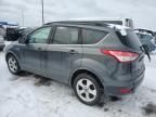 2016 Ford Escape Se за продажба в Woodhaven, MI - Mechanical