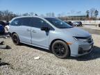 2025 Honda Odyssey Sport-L for Sale in Spartanburg, SC - Rear End