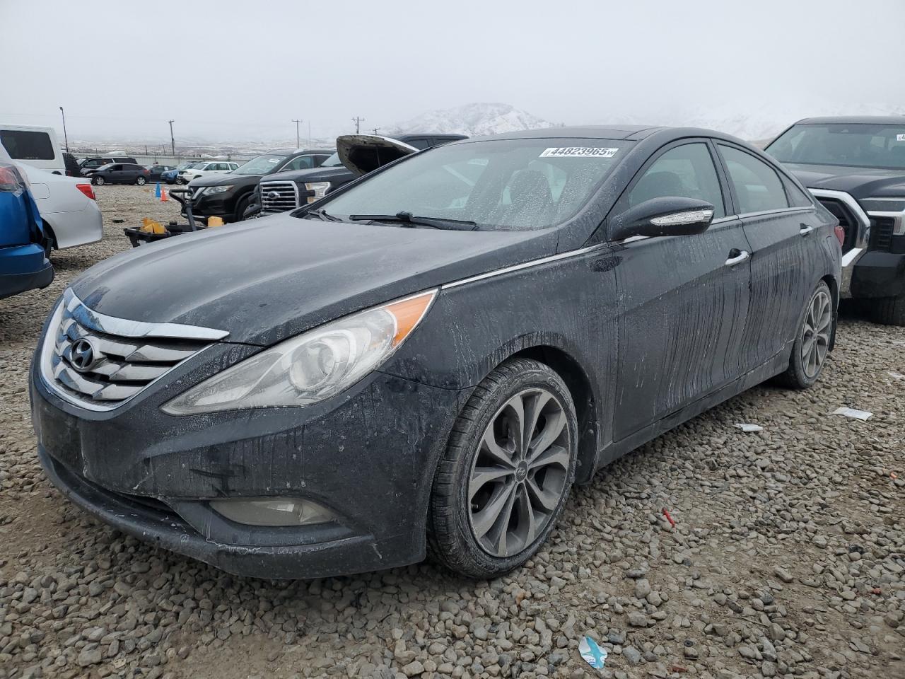 2013 Hyundai Sonata - Image 1