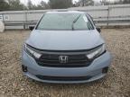 2023 Honda Odyssey Sport-L for Sale in Memphis, TN - Side
