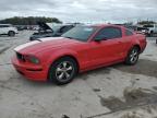 2007 Ford Mustang Gt for Sale in Apopka, FL - All Over