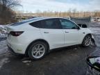 2021 Tesla Model Y  for Sale in Marlboro, NY - Front End