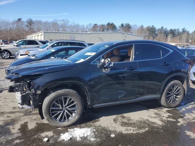 2024 Lexus Nx 350 Base