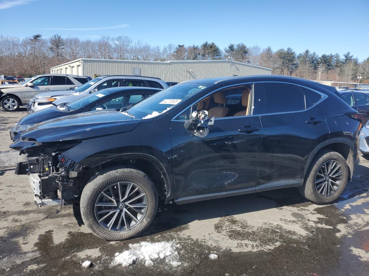 2024 Lexus Nx 350 Base for Sale in Exeter, RI - Side
