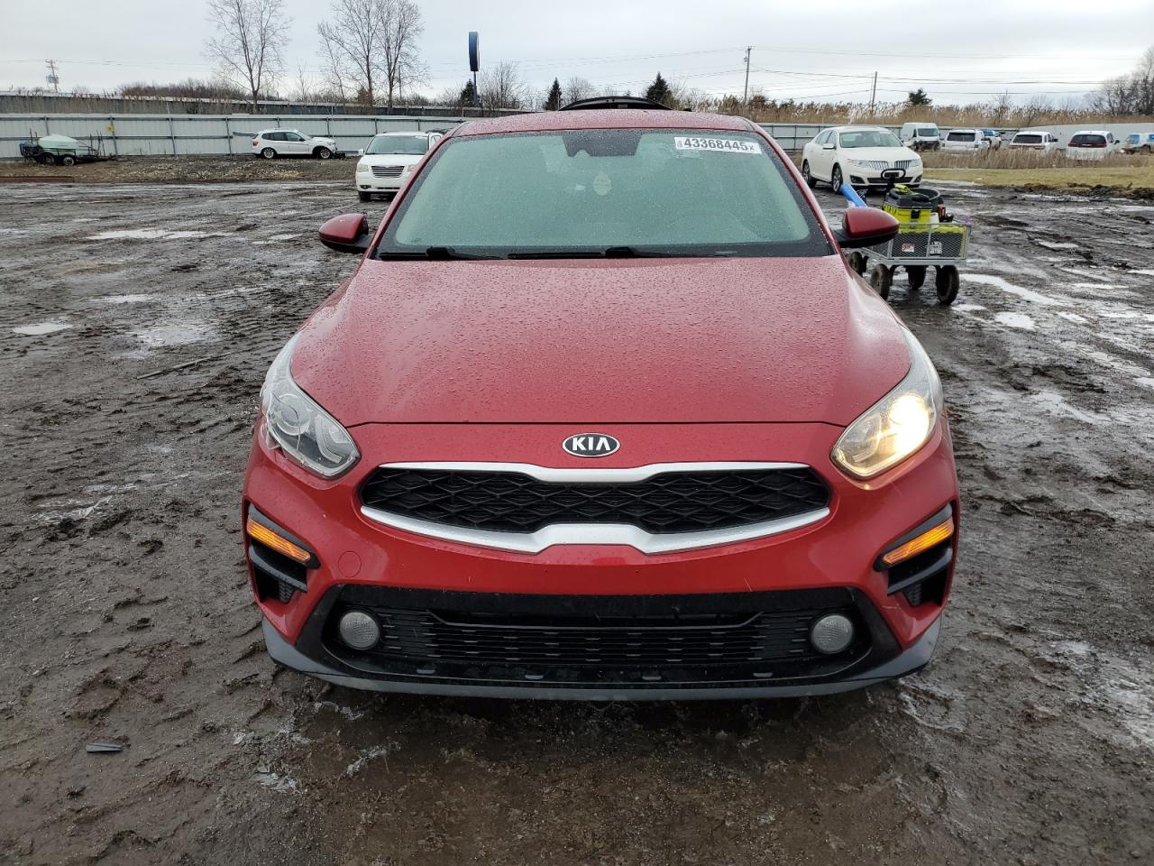 2019 Kia Forte - Image 5